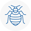 Bed Bug Extermination In Coatbridge
